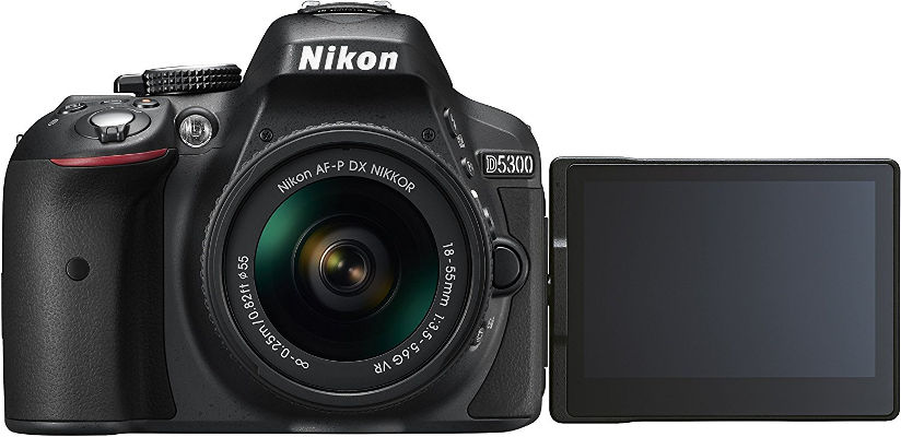Cámara reflex Nikon D5300