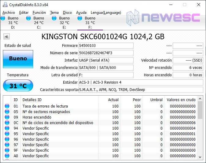REVIEW KINGSTON KC600 DISKINFO