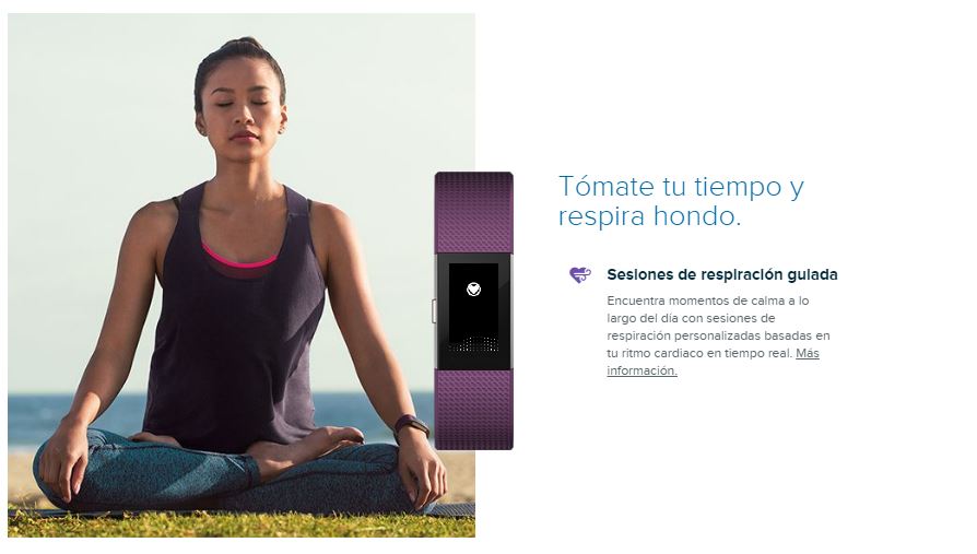 fitbit charge 2 vo2 max